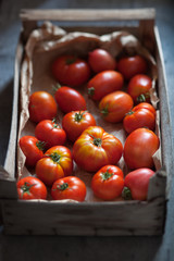 Fresh organic tomatoes in the wooden box, shallow depth of field