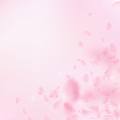 Sakura petals falling down. Romantic pink flowers corner. Flying petals on pink square background. L