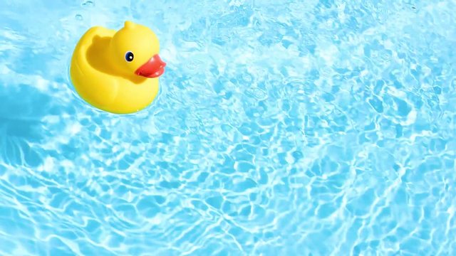A yellow rubber duck can drift relaxed from top to bottom through the picture, on the sparkling and crystal-clear water of a pool in the summer light