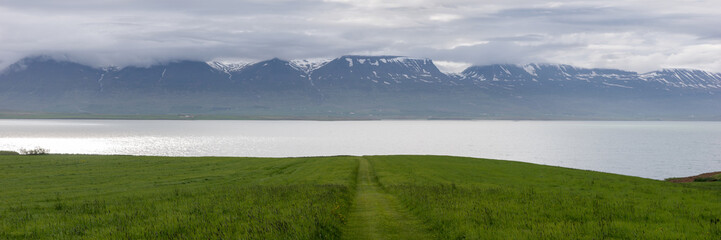 Path across the meadow to the fjord in Iceland