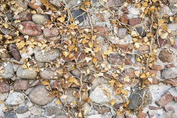 Background with the image of stone wall