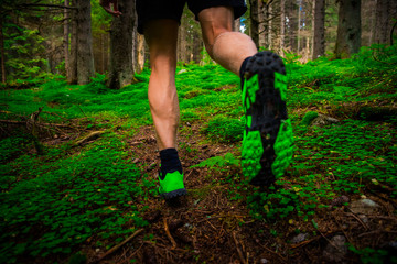 Naklejka premium Trail shoes of trail runner in green forest, sport photo