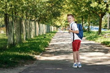 Back to school. A boy from an elementary school with a backpack on the street. The concept of the day of knowledge, September 1, the beginning of school.