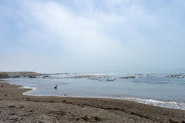 ocean view california