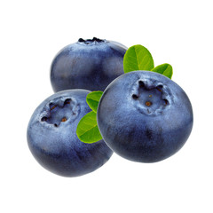 Blueberry berries isolated on white background
