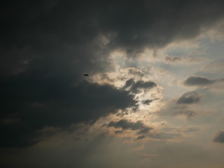 구름 사이를 날아가는 단엽기