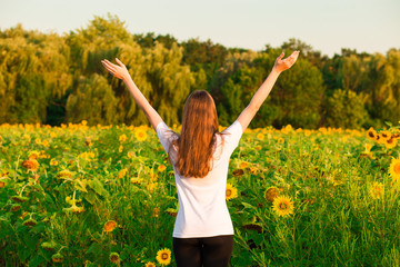 Naklejka na ściany i meble Young woman with long hair in sunflower Field with hands up. Beauty girl outdoors enjoying nature