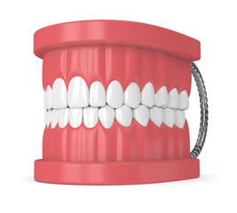 3d render of jaw with teeth