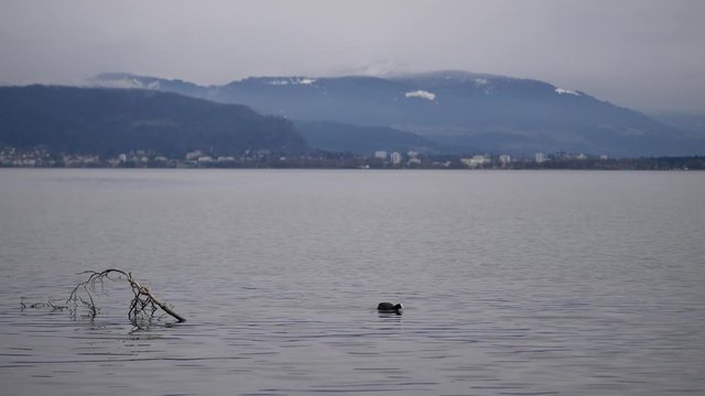 Bodensee Timelapse