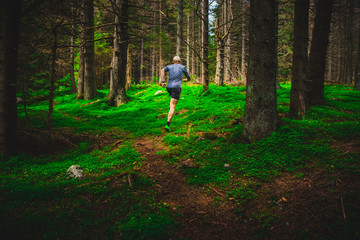 Male trail runner running in the forest on a trail, green nature