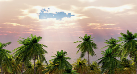 Palmen am Meer
