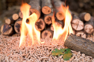 Biomass in flames