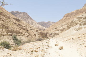 judean  desert valley