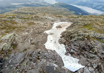 Snowy pool with reindeers