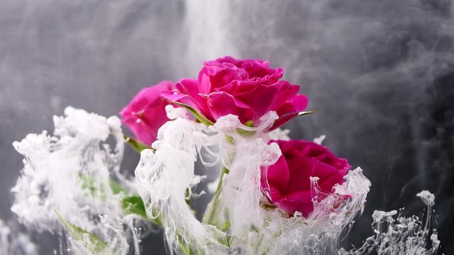 Amazing spreading of paint on a beautiful roses