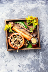 Root and tincture of elecampane