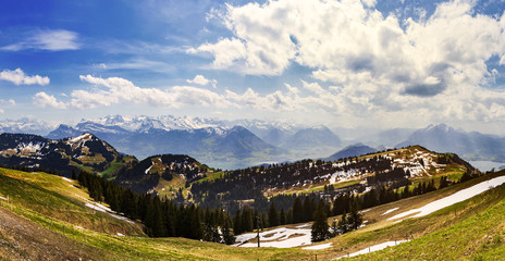 Landscape view of Alps snow mountain with pine tree looking from Rigi kulm Luzern SwitzerlandLandscape view of Alps snow mountain with pine tree looking from Rigi kulm Luzern Switzerland