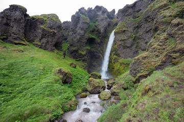 Fototapeta premium Wasserfall und Lupinen in Island