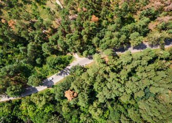 Fototapeta na wymiar Aerial view of road going in summer forest