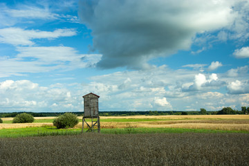 Fields and pulpit for hunting, forest on the horizon and white clouds in the blue sky