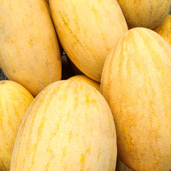 The harvest of summer, a few ripe melons are one on one.