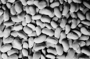 White kidney beans background texture. Vegan and vegetarian photo. Ecological green food.