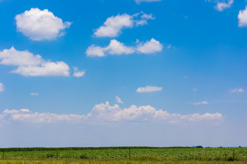 Obraz premium Farm lands with blue sky and white clouds