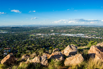 Obraz premium Widok na przedmieścia Johannesburga z drzewami ze wzgórza Northcliff