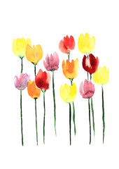 beautiful floral watercolour set of pretty tulips