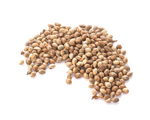 Heap of hemp seeds on white background