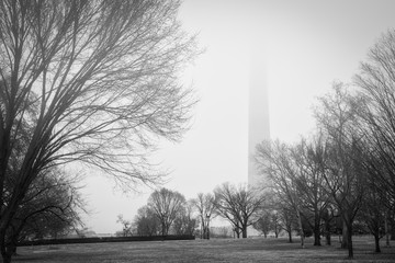 DC Fog