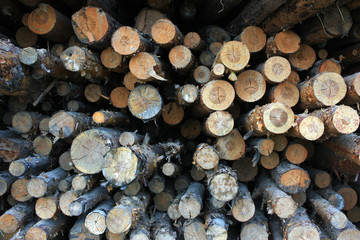 Pile of wooden logs