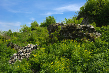 Ancient ruins of the castle of the town of Khust (Dracula Castle). a huge and powerful castle that...