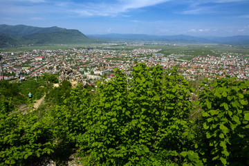 Colorful exalted view from a bird's eye view to houses in residential district in the city of Khust, Western Ukraine with high mountains in the background on a background of green vegetation.