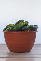 assembled ripe cucumbers in a plastic bucket on a wooden table closeup