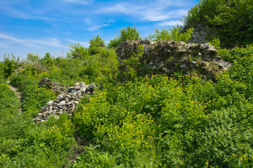 Ancient ruins of the castle of the town of Khust (Dracula Castle). a huge and powerful castle that...