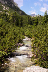 Fototapeta na wymiar panorama from green beskid mountains ,high tatra, with lake and waterfalls