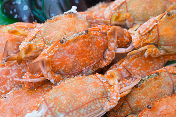 Steamed sea fresh crab