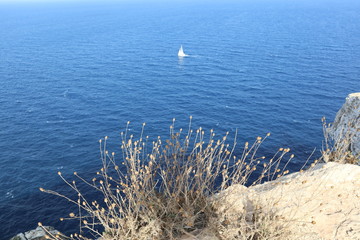 Barca vela in mezzo al mare