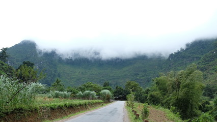 Obraz premium Small cottage with lone big tree on the countryside road in mountainous area of Ha-Giang province, Vietnam