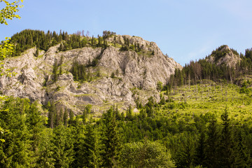 panorama from green beskid mountains ,high tatra, with forest