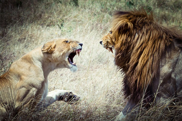 Family Feud