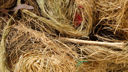 Dried flax string for linen made 