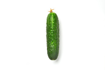  Fresh cucumber isolated on white background close up. Organic cucumbers with a flower on the end.