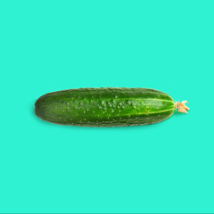  Fresh cucumber isolated on colored background close up. Organic cucumbers with a flower on the end.