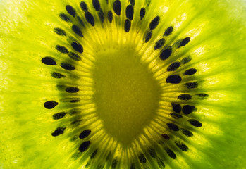 Kiwi fruit texture background with selective focus and crop fragment