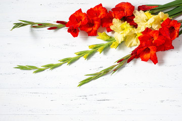 Bouquet of fresh yellow and orange gladiolus flower close-up on white wooden background with copy space