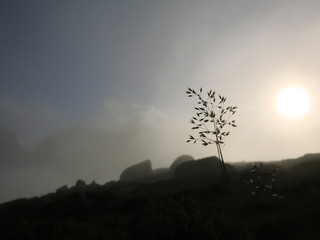 Brume le soir en montagne avec brouillard et soleil