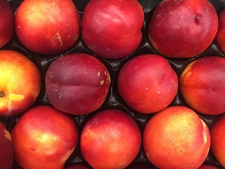 nectarine