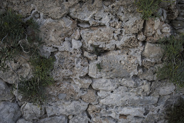 Wall  Backgrounds and  Textures